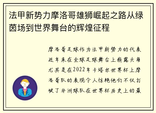 法甲新势力摩洛哥雄狮崛起之路从绿茵场到世界舞台的辉煌征程