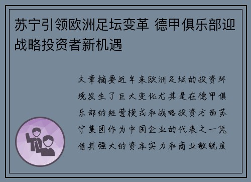 苏宁引领欧洲足坛变革 德甲俱乐部迎战略投资者新机遇
